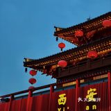 🏮大唐•多姿多彩，千姿百态，鼎盛的朝代🌟