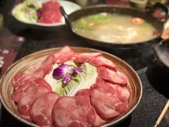 -盡膳口福·百年汤方火锅(科华北路店)