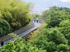 -福道