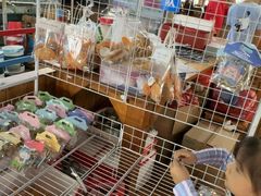 -蓝湾碧波·老字号·疍家非遗海上餐厅