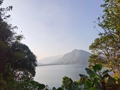 -清溪森林公园