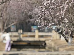 -春风习习
