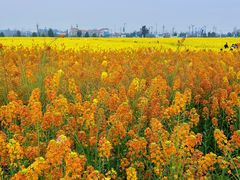 -中国天府农业博览园