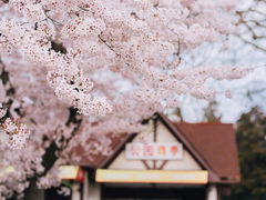 -青岛中山公园-索道售票处
