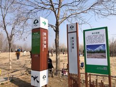 -东郊湿地公园