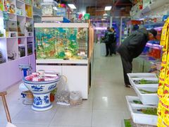 -本溪路花鸟市场(江浦路1709弄小区店)