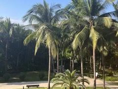 -三亚湾海居铂尔曼度假酒店