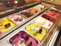 -Patagonia Chocolates(皇后镇店)