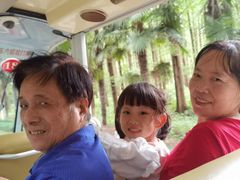 -黄海国家森林公园