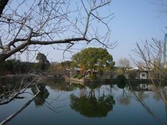 -无锡蠡湖国家湿地公园-蠡园