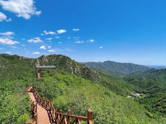 -大岭沟猕猴桃谷风景区