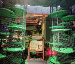 -恐龙探索乐园(磁器口店)