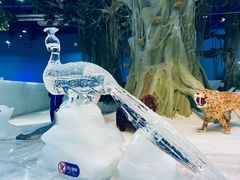 -广州热雪奇迹