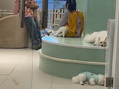 -怪兽屋·羊驼·猫咖·狗咖(俊华广场店)