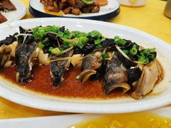 榄角豉椒蒸鱼头-壹厨饭店(五羊店)