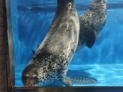 -成都浩海立方海洋公园