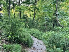 -青龙山国家森林公园