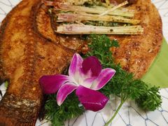 -紫滇源云南生态菜(丹凤街店)
