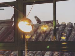 -EATALIA意塔利意式餐厅(鼓楼店)