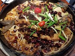 老板恋上鱼-老板恋上鱼(高新万达店)