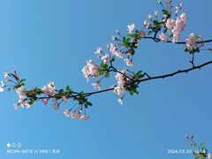 -白鹭园