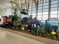 -银川河东国际机场