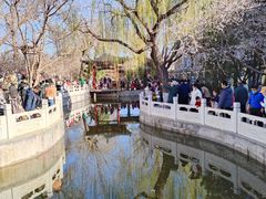 -桃花堤公园