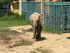 -哈尔滨北方森林动物园