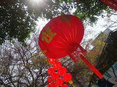 -金砂公园