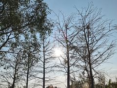 -芒洲湿地公园