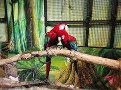 -海合安武汉极地海洋公园