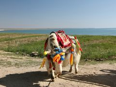 -青海湖国家重点风景名胜区