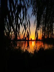 -玄武湖景区-情侣园游乐场