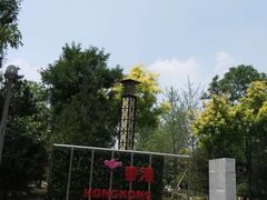 -武清南湖绿博园