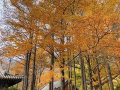 -青岛崂山太清宫
