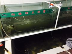 -小陆莲花蟹园农家乐(莲花岛店)