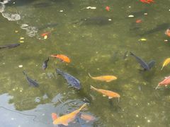-大连天门山国家森林公园