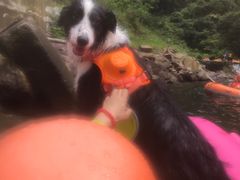 -安吉龙王山峡谷漂流