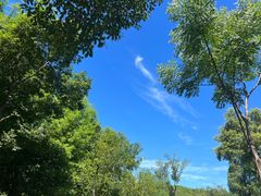 -昆山城市生态森林公园