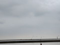 -碧海金沙