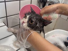 -熊小胖宠物生活馆(天华园店)