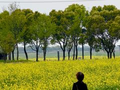 -祝甸砖窑文化馆