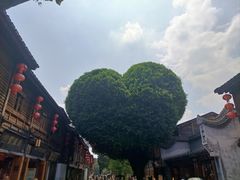 -三坊七巷历史文化街区