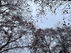 -橘子洲景区