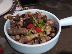 麻辣锥螺-喝丢一只鞋海鲜烧烤·海肠捞饭(市场店)