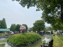 -田园东方蜜桃村的田野营地