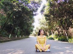 -铁山坪森林公园