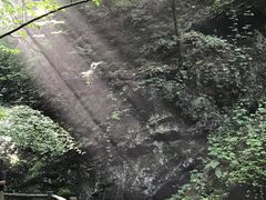 -牛背梁国家森林公园