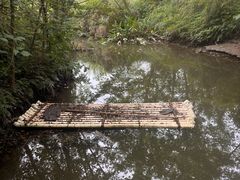 -桤木河湿地公园