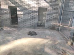 -银川动物园
